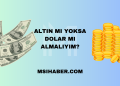 Altın mı Yoksa Dolar mı Almalıyım?