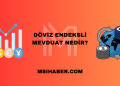 Döviz Endeksli Mevduat Nedir?