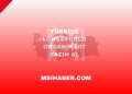 Türkiye Lokasyonlu Organik Hit Satın Al