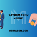 Yatırım Fonu Nedir?