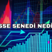 Hisse Senedi Nedir?