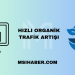 Hızlı Organik Trafik Artışı