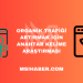 Organik Trafiği Artırmak İçin Anahtar Kelime Araştırması