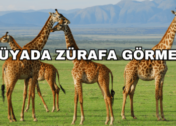 Rüyada Zürafa Görmek