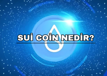 Sui Coin Nedir?