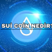 Sui Coin Nedir?