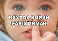 Rüyada Burun Karıştırmak