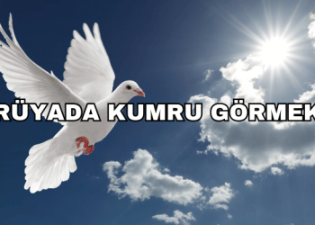Rüyada Kumru Görmek