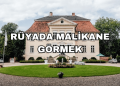 Rüyada Malikane Görmek