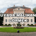 Rüyada Malikane Görmek