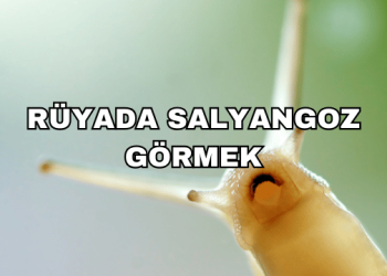 Rüyada Salyangoz Görmek