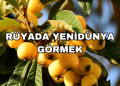Rüyada Yenidünya Görmek