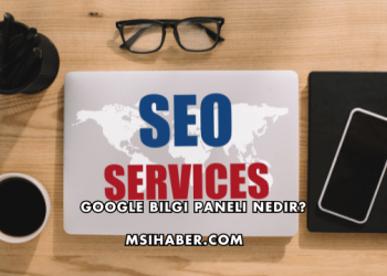 Google Bilgi Paneli Nedir?