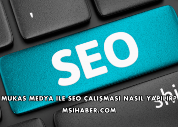 Mukas Medya ile SEO Çalışması Nasıl Yapılır?